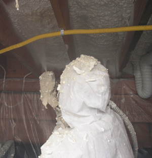 Gainesville FL crawl space insulation